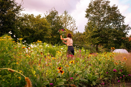 Bij ons geen handschoenen nodig: bloemen zonder pesticiden 🌿